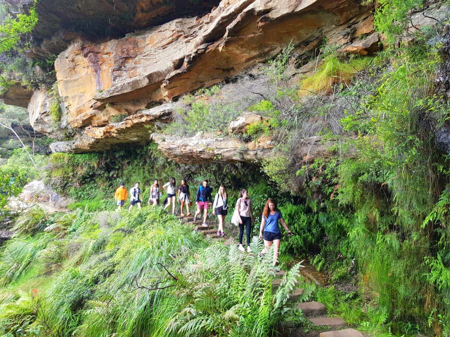 From Sydney: Blue Mountains Tour with Waterfall Walk & Lunch - The morning ride from Sydney to the mountains