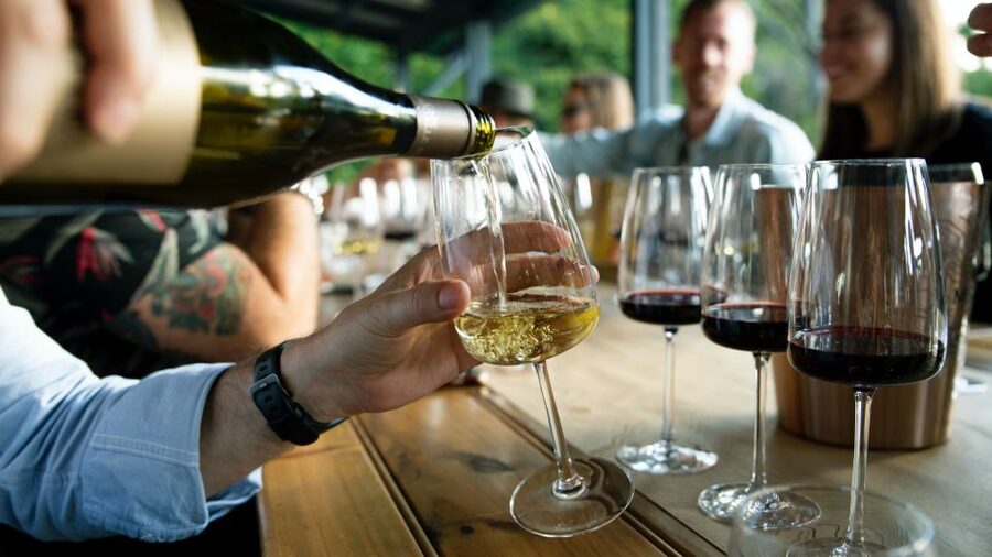 From Sydney: Full-Day Hunter Valley Tour w/ Tastings & Lunch - Timing, comfort, and what to bring