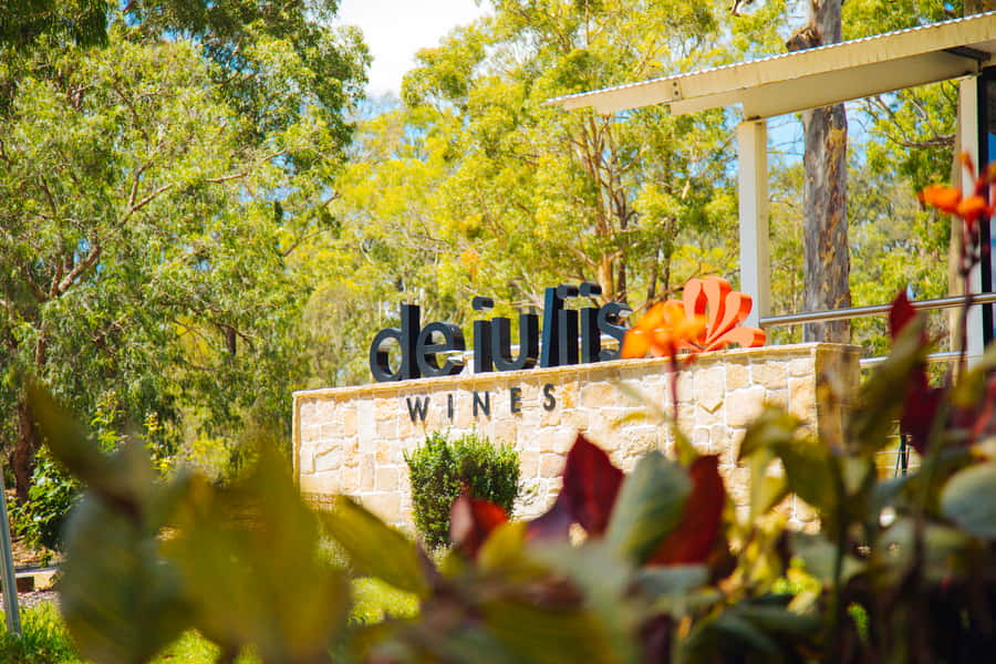 From Sydney: Full-Day Hunter Valley Tour w/ Tastings & Lunch - Second winery: chocolate with your wine