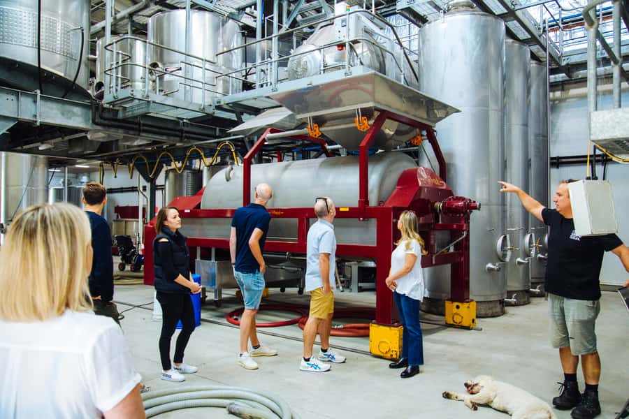 From Sydney: Full-Day Hunter Valley Tour w/ Tastings & Lunch - Lunch in a local restaurant