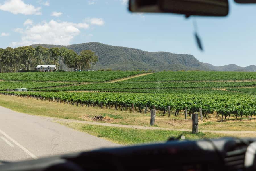 From Sydney: Full-Day Hunter Valley Wine Tour & Lunch - Key points to know before booking