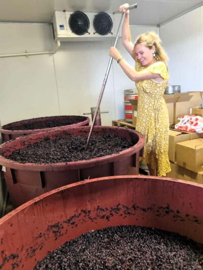 Hunter Valley Wine, Gin & Food Tastings Tour