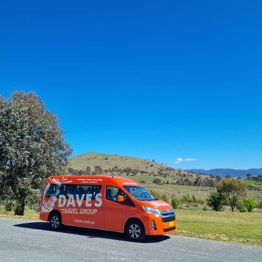 From Sydney: Hunter Valley Wine, Gin & Food Tastings Tour - A second wine stop with cheese pairing