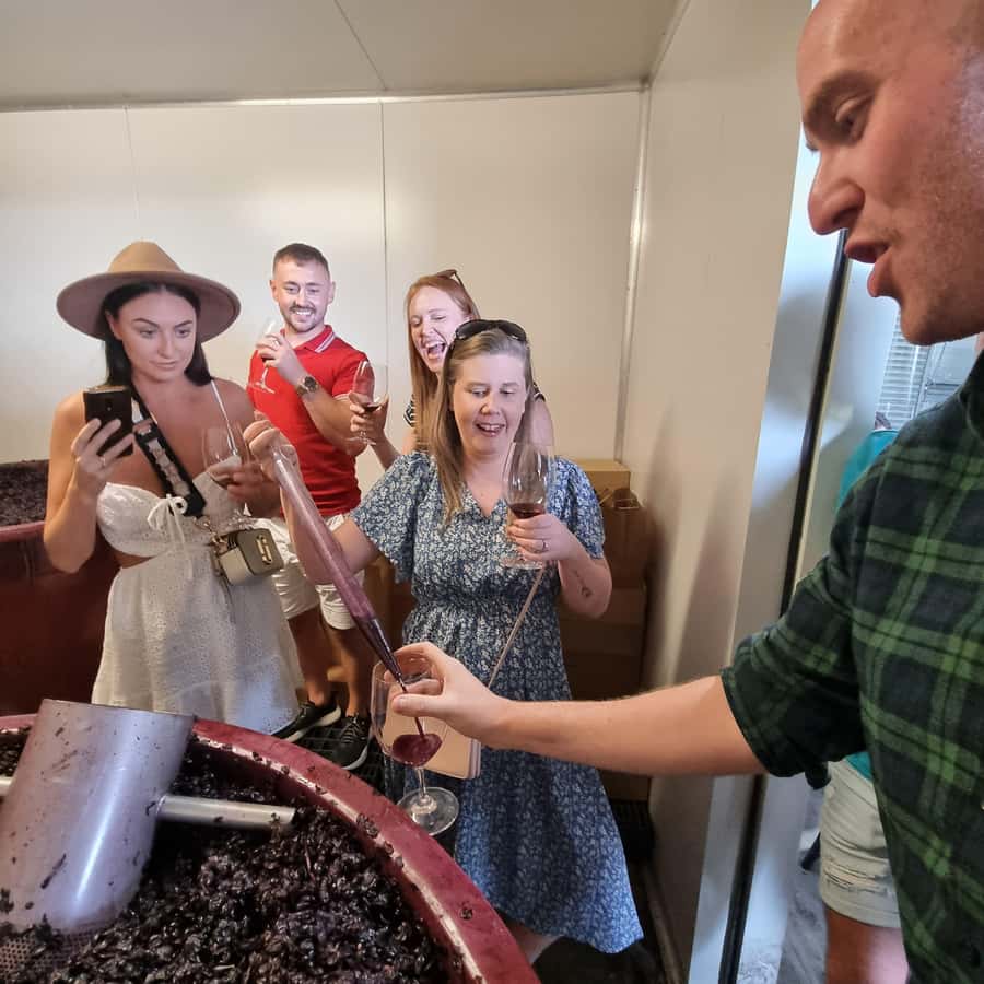 From Sydney: Hunter Valley Wine, Gin & Food Tastings Tour - Chocolate and wine for the final tasting