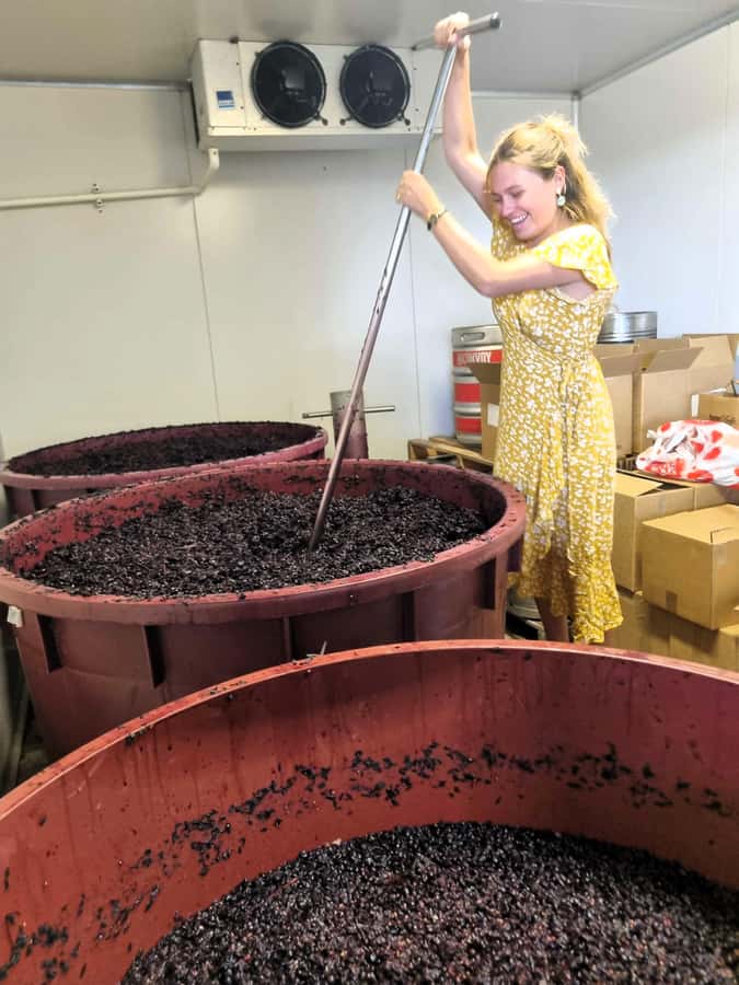 From Sydney: Hunter Valley Wine, Gin & Food Tastings Tour - Setting out from central Sydney