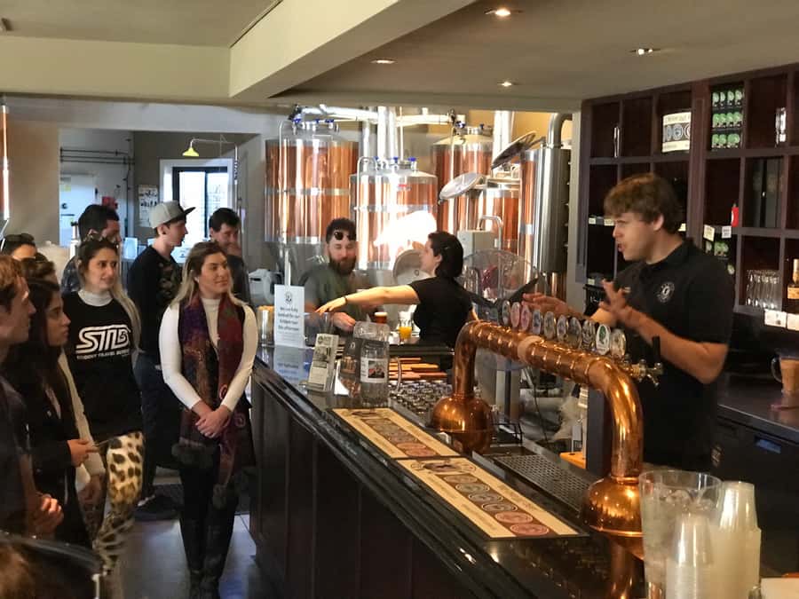 From Sydney: Hunter Valley Wine Tasting & Winery Picnic Tour - Hunter Valley Chocolate Company