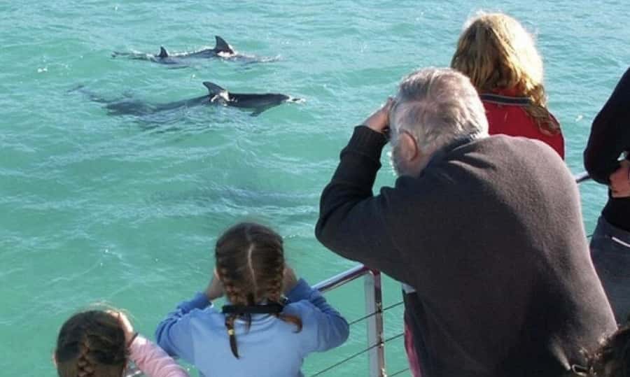 From Sydney: Jervis Bay Day Tour and Dolphin Watching Cruise - Key points to know before booking