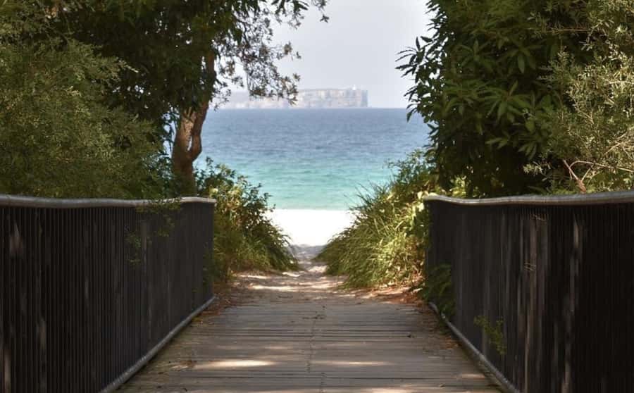 From Sydney: Jervis Bay Day Tour and Dolphin Watching Cruise - Cave Beach and Booderee National Park