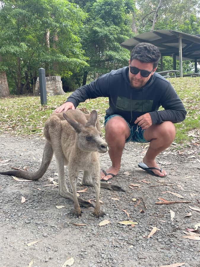 From Sydney: Jervis Bay Day Tour and Dolphin Watching Cruise - What to bring for a smoother day