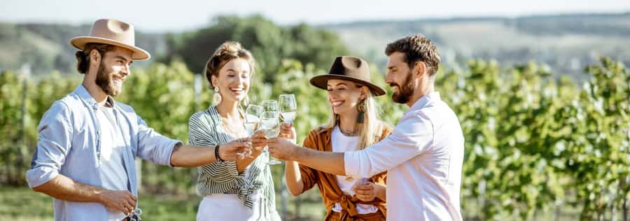 From Sydney: Luxury Hunter Valley Private Tour - Key points to know before booking