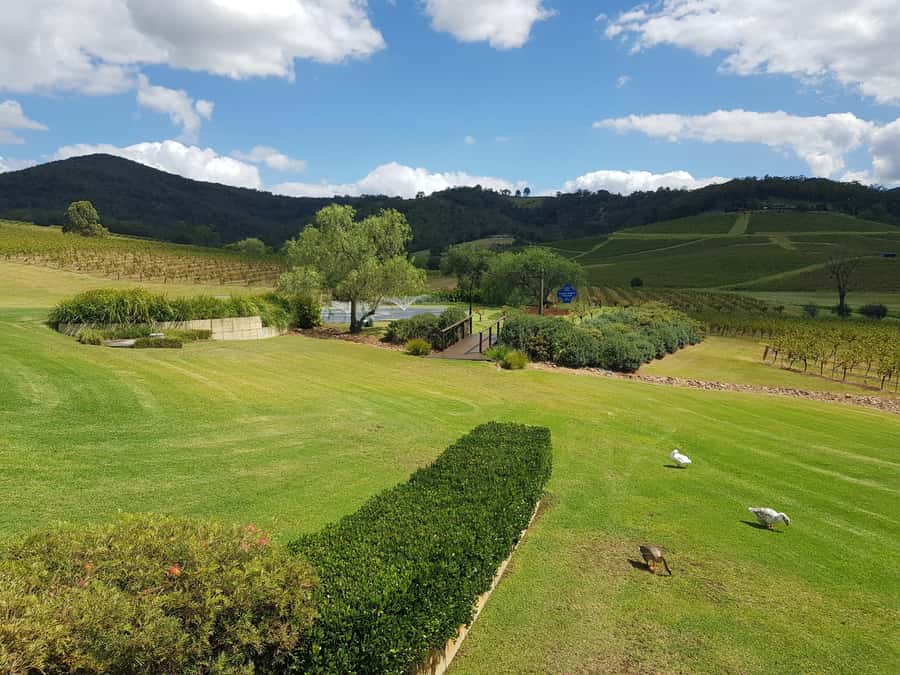 From Sydney: Luxury Hunter Valley Private Tour - A private route from Sydney to wine country