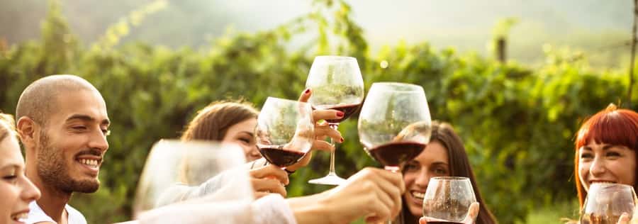 From Sydney: Luxury Hunter Valley Private Tour - Cheese, produce, and a slower pace