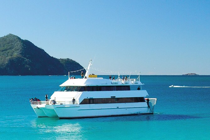 From Sydney: Port Stephens Dolphin, Koalas, Lunch & Sandboarding - Three Australian highlights in one 12-hour day