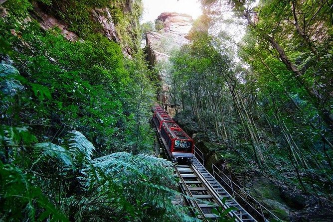 Fully Inclusive Blue Mountains Private Tour inc Scenic World & Featherdale Entry - Scenic World’s railway, cable cars, and valley views