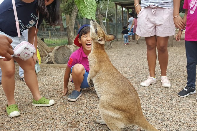 Fully Inclusive Blue Mountains Private Tour inc Scenic World & Featherdale Entry - Echo Point and the Three Sisters