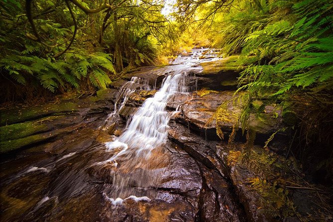 Fully Inclusive Blue Mountains Private Tour inc Scenic World & Featherdale Entry - The Giant Stairway for walkers and non-walkers