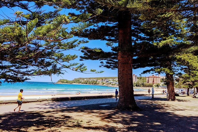 Golden Beaches and Ocean Vistas MANLY AND NORTHERN BEACHES PRIVATE TOUR - Key points to know before booking