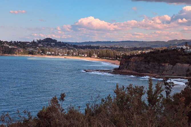 Golden Beaches and Ocean Vistas MANLY AND NORTHERN BEACHES PRIVATE TOUR - North Head is the day’s strongest lookout