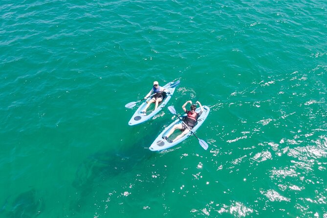 Guided Kayak Tour of Manly Cove Beaches - Store Beach and the quieter side of Manly
