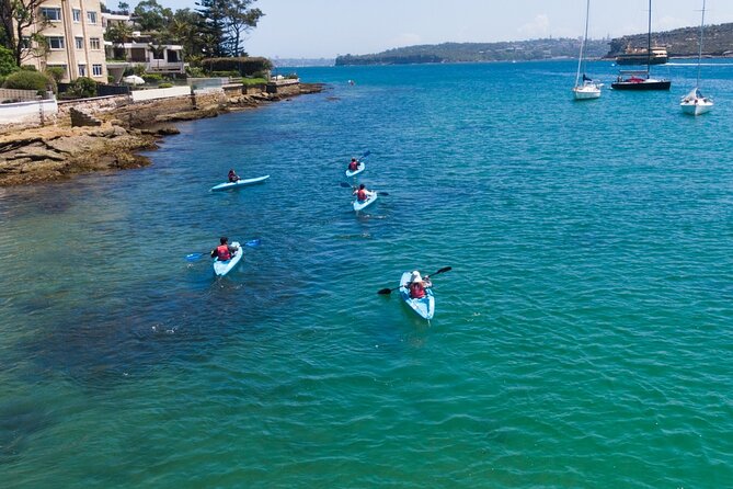 Guided Kayak Tour of Manly Cove Beaches - What the guides add to the experience