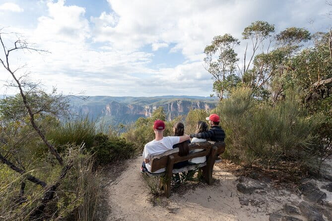 Guided Walking Tour in the Blue Mountains - Hidden Treasures - Mount Blackheath and the Kanimbla Valley