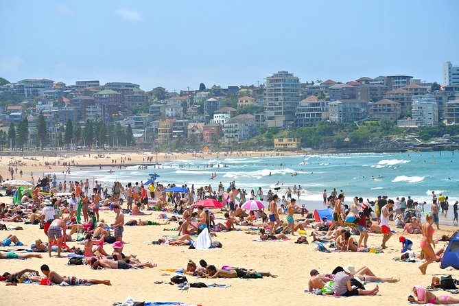Half-Day or Full-Day Private Guide Hire From Sydney - A private Sydney day built around your priorities