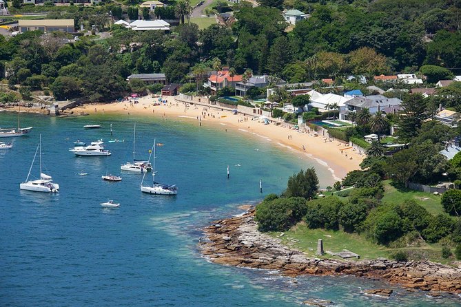 Half-Day or Full-Day Private Guide Hire From Sydney - What the four-hour Sydney option can accomplish