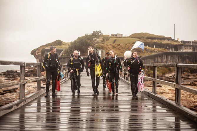 Half-Day Private Discover Dive at Australia's Iconic Beach - Key points at a glance