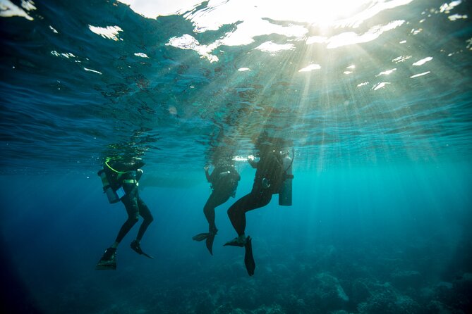 Half-Day Private Discover Dive at Australia's Iconic Beach - Choosing a real ocean session over a pool