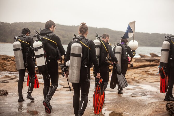 Half-Day Private Discover Dive at Australia's Iconic Beach - The instructors and the human side of the experience