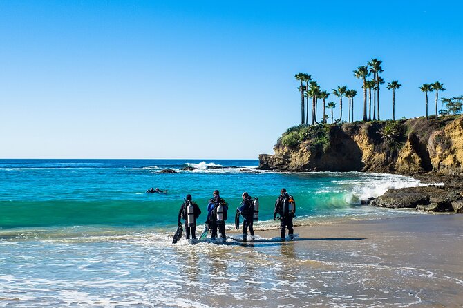Half-Day Private Discover Dive at Australia's Iconic Beach - How the timing fits a Sydney visit
