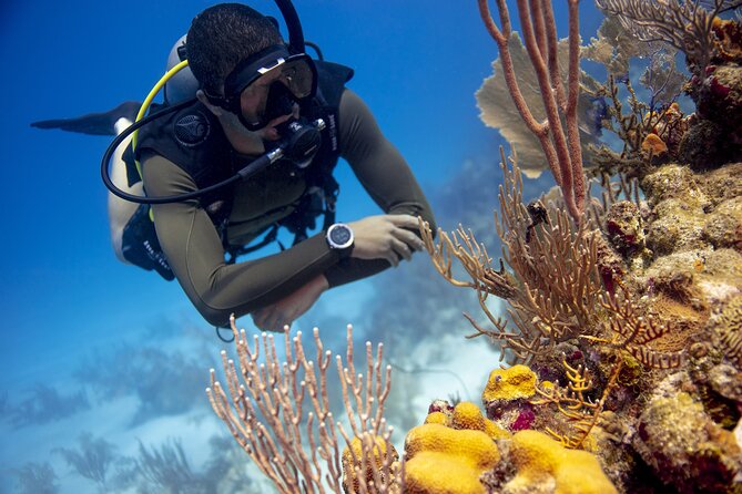 Half-Day Private Discover Dive at Australia's Iconic Beach - The first lesson: basic theory and getting comfortable