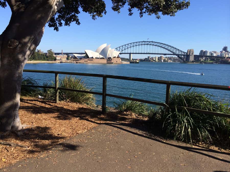 Half Day Small Group : The Story of Sydney Tour - Bondi Beach is the tour’s biggest lifestyle shift