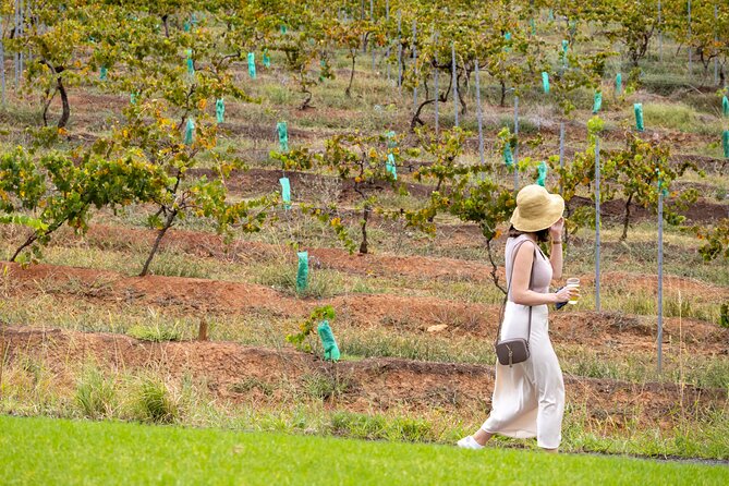 Hunter Valley All Inclusive, Wine, Chocolate Tasting and Lunch - The guides shape the whole experience