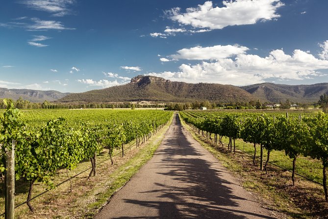 Hunter Valley Highlights Private Wine Tour from Sydney - The personal tasting at Capercaillie Wines