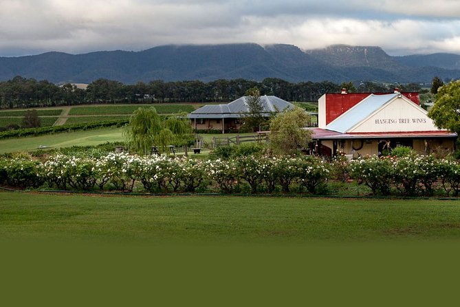 Hunter Valley Highlights Private Wine Tour from Sydney - Belgian chocolate and fudge to finish