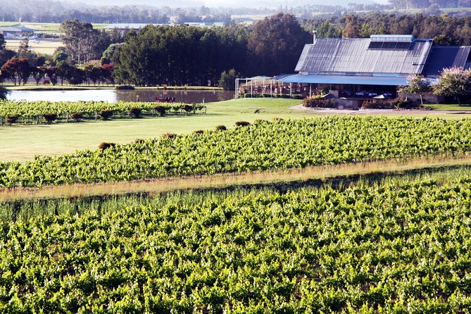 Hunter Valley Private Wine Tasting Tour from Sydney - Key points before you book