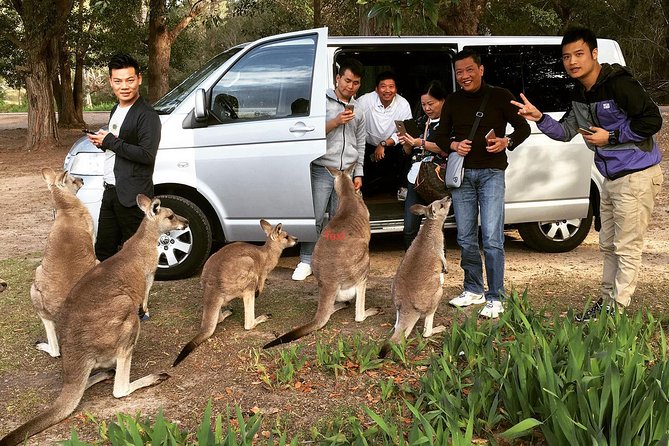 Hunter Valley Private Wine Tasting Tour from Sydney - Lunch in Hunter Valley, with the bill left to you