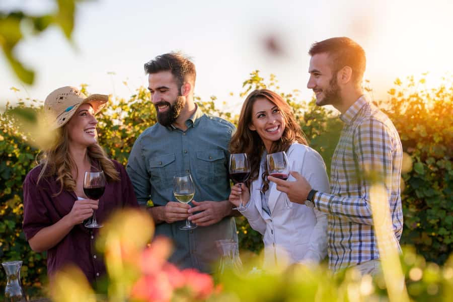 Hunter Valley: Wine, Chocolate and Lunch All Inclusive Tour - Lunch and wine at 4 Pines at the Farm