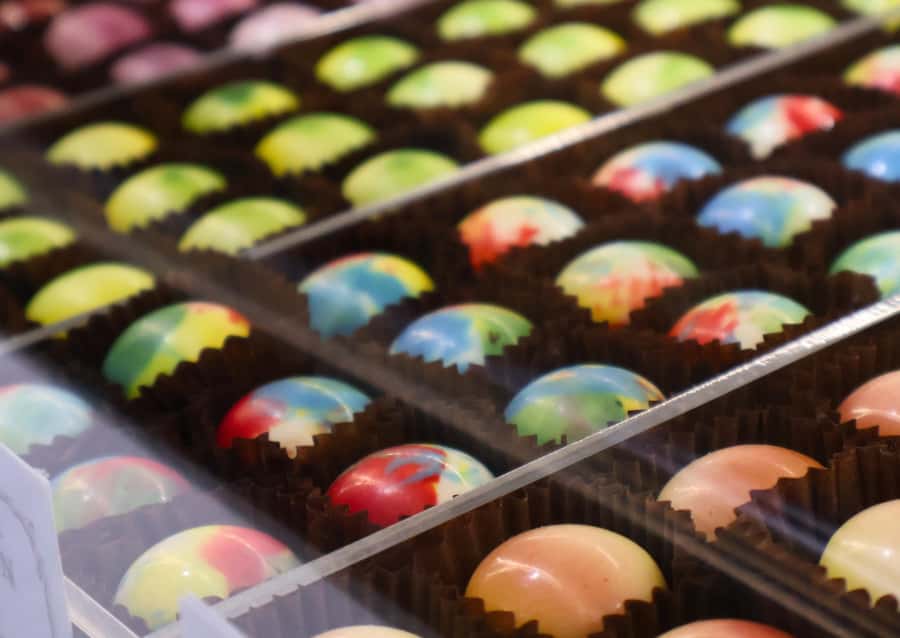 Hunter Valley: Wine, Chocolate and Lunch All Inclusive Tour - Hunter Valley Gardens for shopping and free time