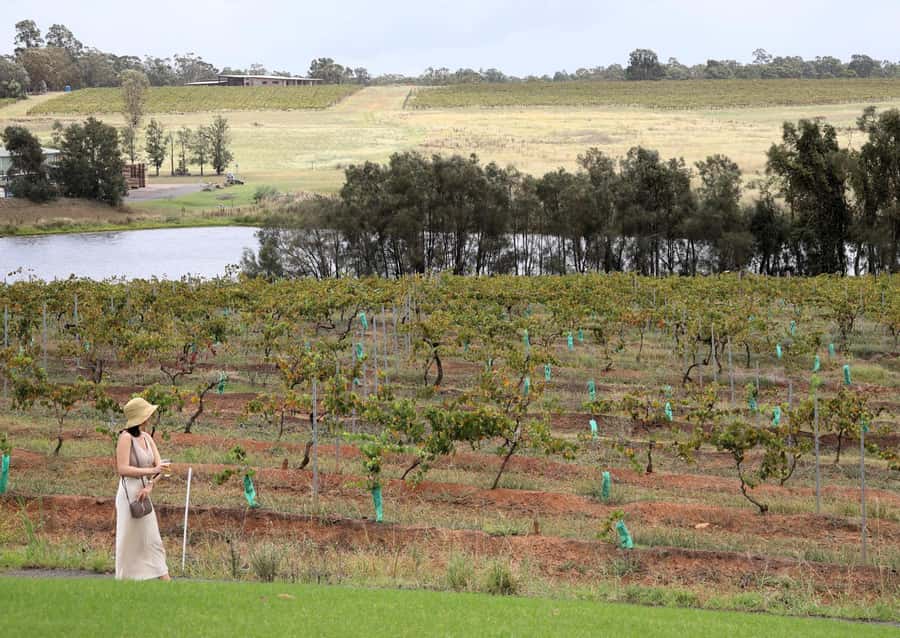 Hunter Valley: Wine, Chocolate and Lunch All Inclusive Tour - Who should book this Hunter Valley tour?