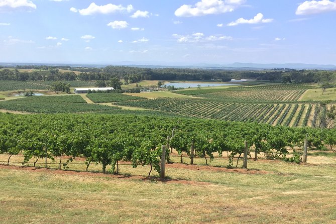 Hunter Valley Wine Tasting Private Tour From Sydney - Returning to Sydney after a full day