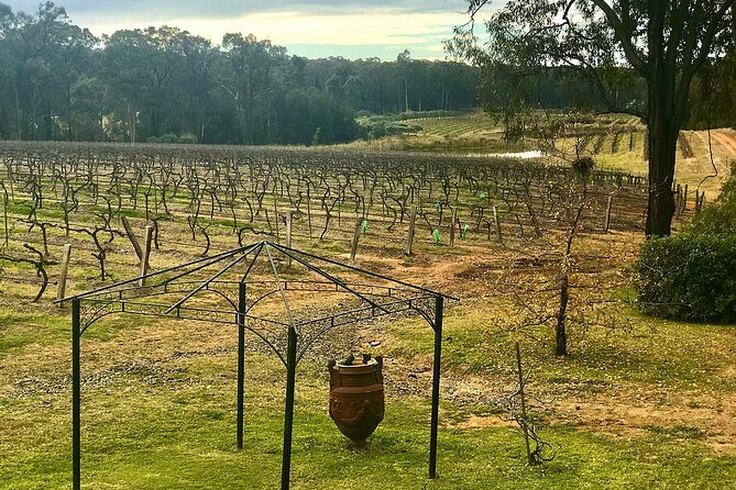 Hunter Valley Wine Tour from Sydney: 3 Wineries & Vineyard Picnic - De Bortoli connects wine with a family story