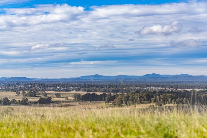 Hunter Valley Wine Tour from Sydney with Lunch and 3 Cellar Door Tastings - The possibility of kangaroos among the vines
