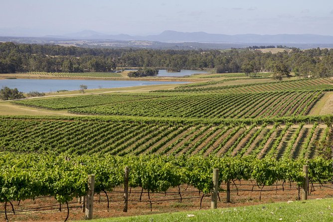 Hunter Valley Wine Tour from Sydney with Lunch and 3 Cellar Door Tastings - Guides shape the mood of the day