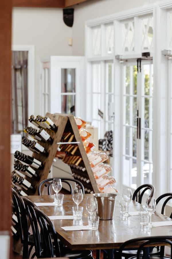 Hunter Valley: Wine Tour with 2-Course Lunch, Choc & Cheese - Mount Pleasant and the oldest Pinot Noir