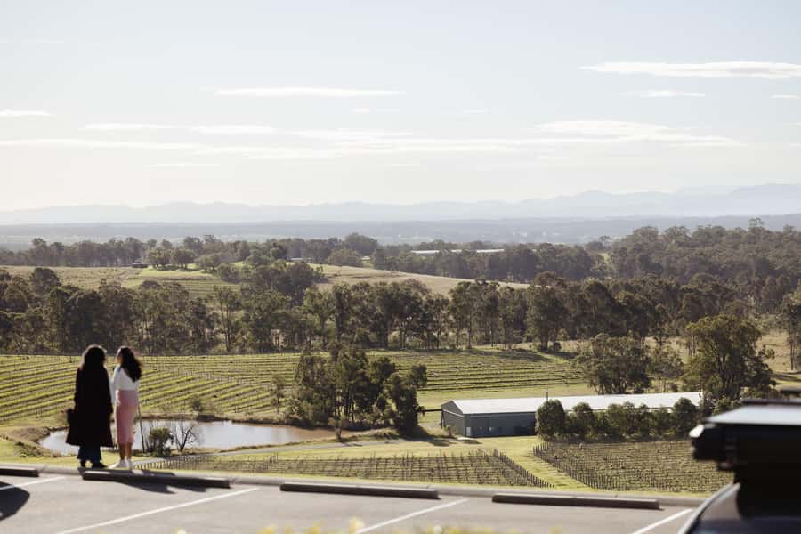 Hunter Valley: Wine Tour with 2-Course Lunch, Choc & Cheese - Chocolate at Twenty-3-Twenty