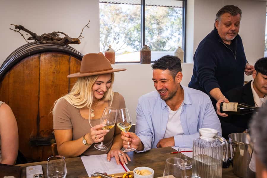 Hunter Valley: Wine Tour with 2-Course Lunch, Choc & Cheese - Audrey Wilkinson and the first vineyard views