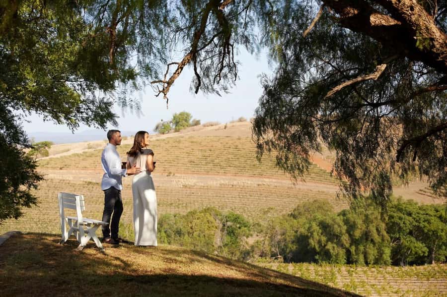 Hunter Valley: Wine Tour with 3 Tastings and Garden Lunch - The final winery and the afternoon pace