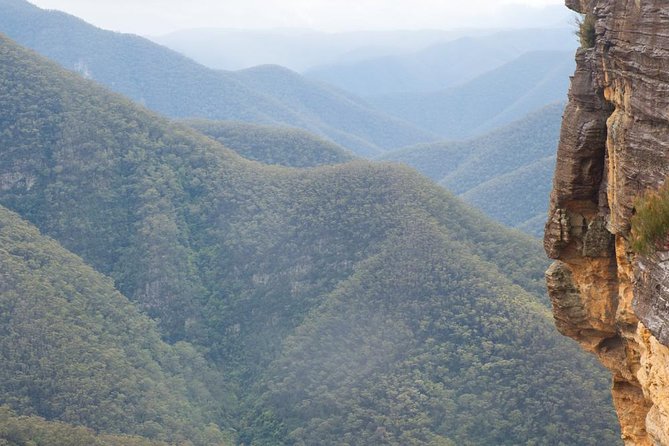 Inside the Greater Blue Mountains World Heritage - A Private Wildlife Safari Overnight - The Three Sisters, then quieter viewpoints